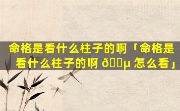 命格是看什么柱子的啊「命格是看什么柱子的啊 🐵 怎么看」